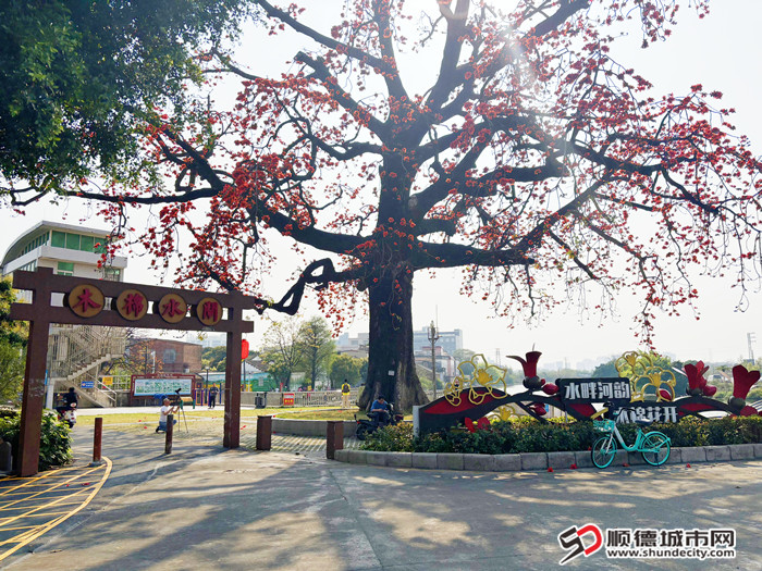 微信圖片_20250324161534_副本.jpg