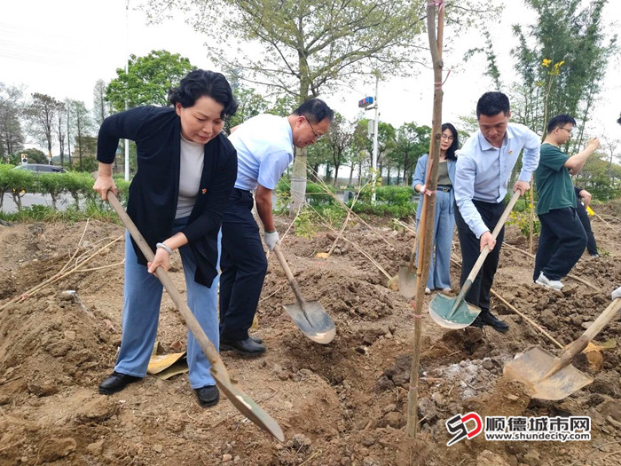 “我為佛山種棵樹”主題黨日活動。.jpg