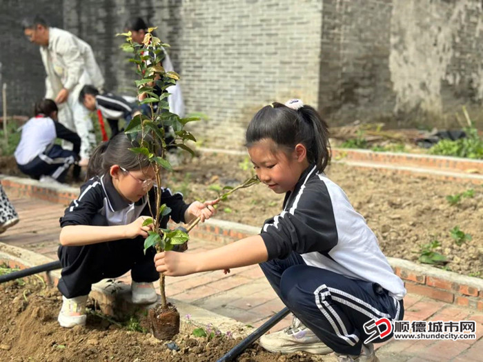 樂從小學學生種植小樹苗并制作微縮森林手工作品。.jpg