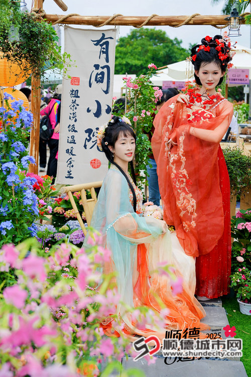 HZE_8574_副本.JPG
