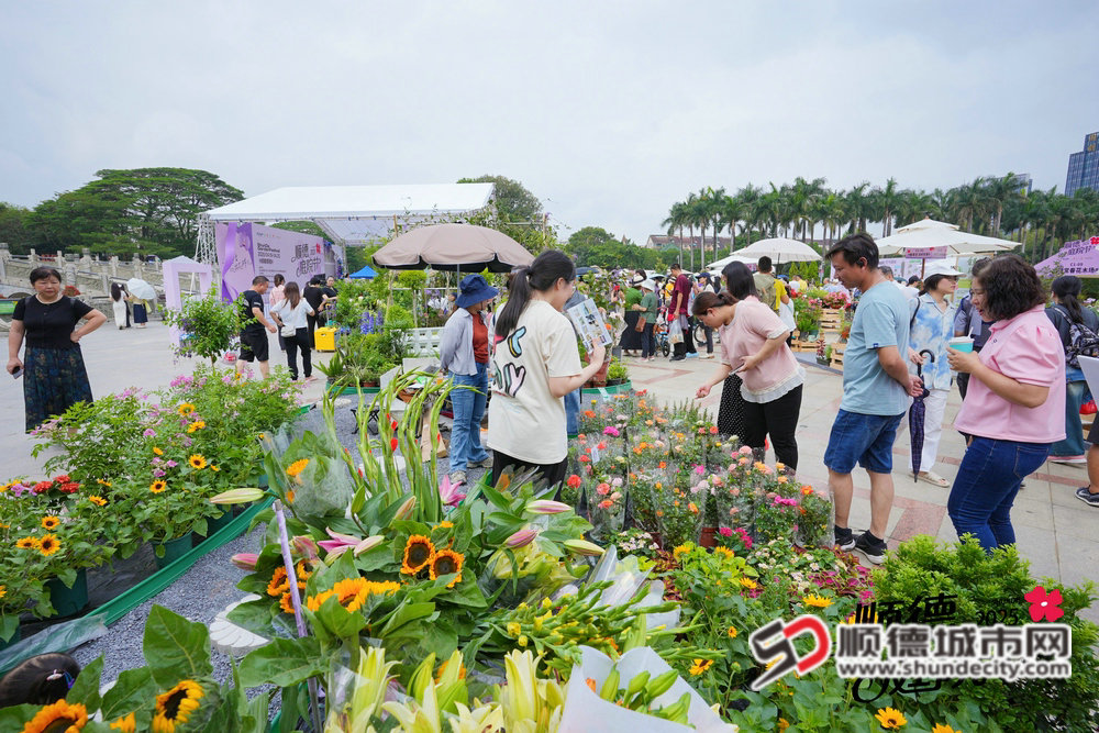DSC06489_副本.JPG