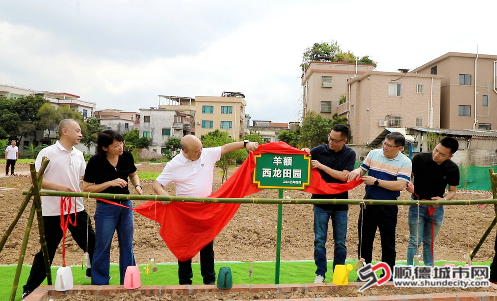 微信圖片_20250420131127_副本.jpg