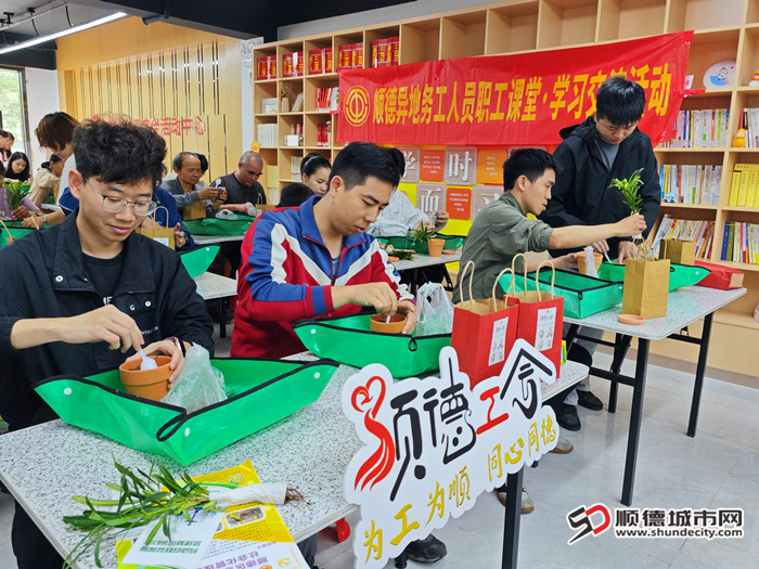 盆栽綠植的心理療愈活動。.jpg