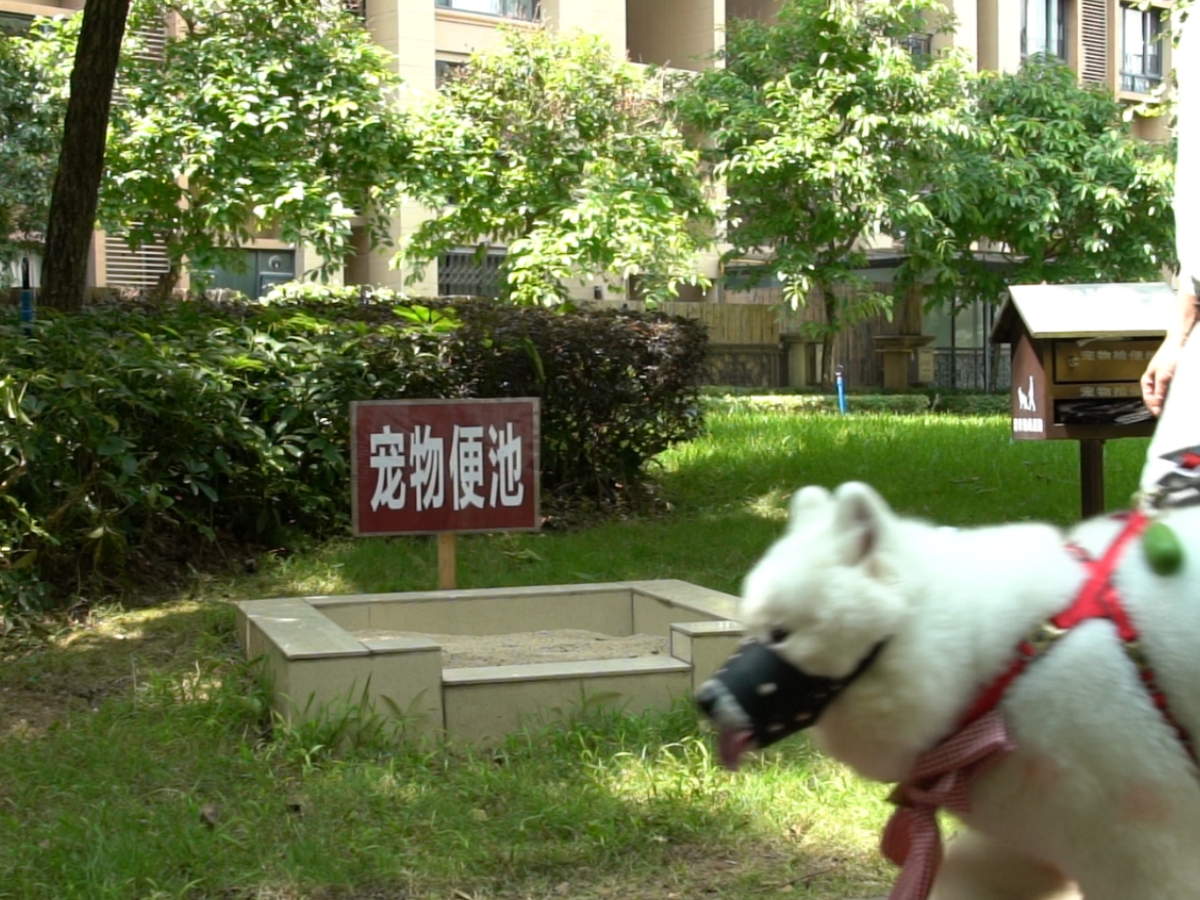 微信圖片_20250520191754_副本.jpg