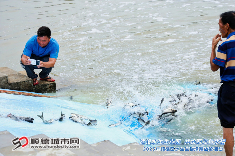 1F8A8747-3667941047_副本.jpg