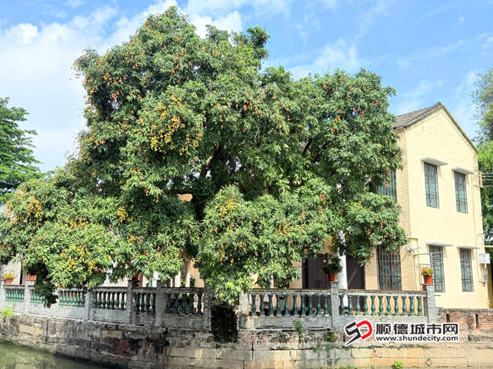 翻新改造后的村委會(huì)舊址。.jpg