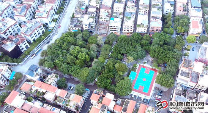 蘇崗公園_副本.png