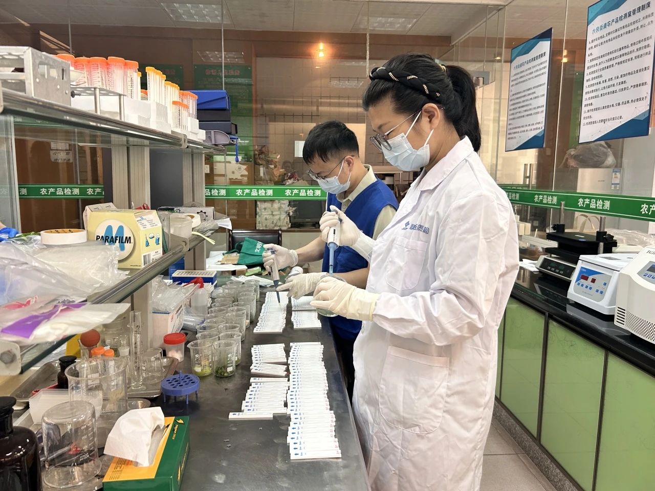 檢測機構對聚餐使用的食材開展快檢.jpg
