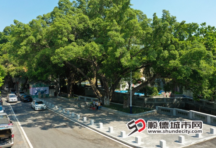 順德區美岸示范點古朗大涌美岸項目_副本.jpg