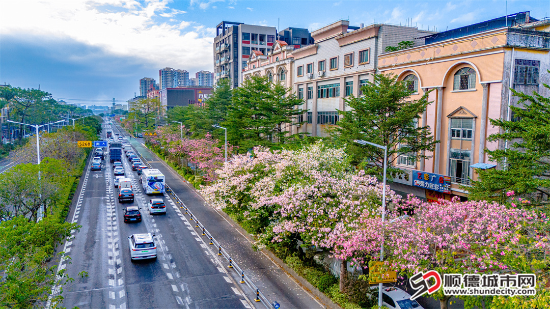 百安路倉門段。（攝影：甘培田）.jpg