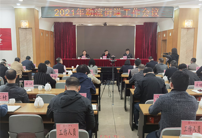 順德中部“雄獅騰飛”，勒流發(fā)展正當(dāng)時(shí)