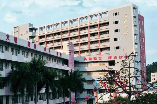 均安職校：依據順德職教布局，打造均安職校品牌