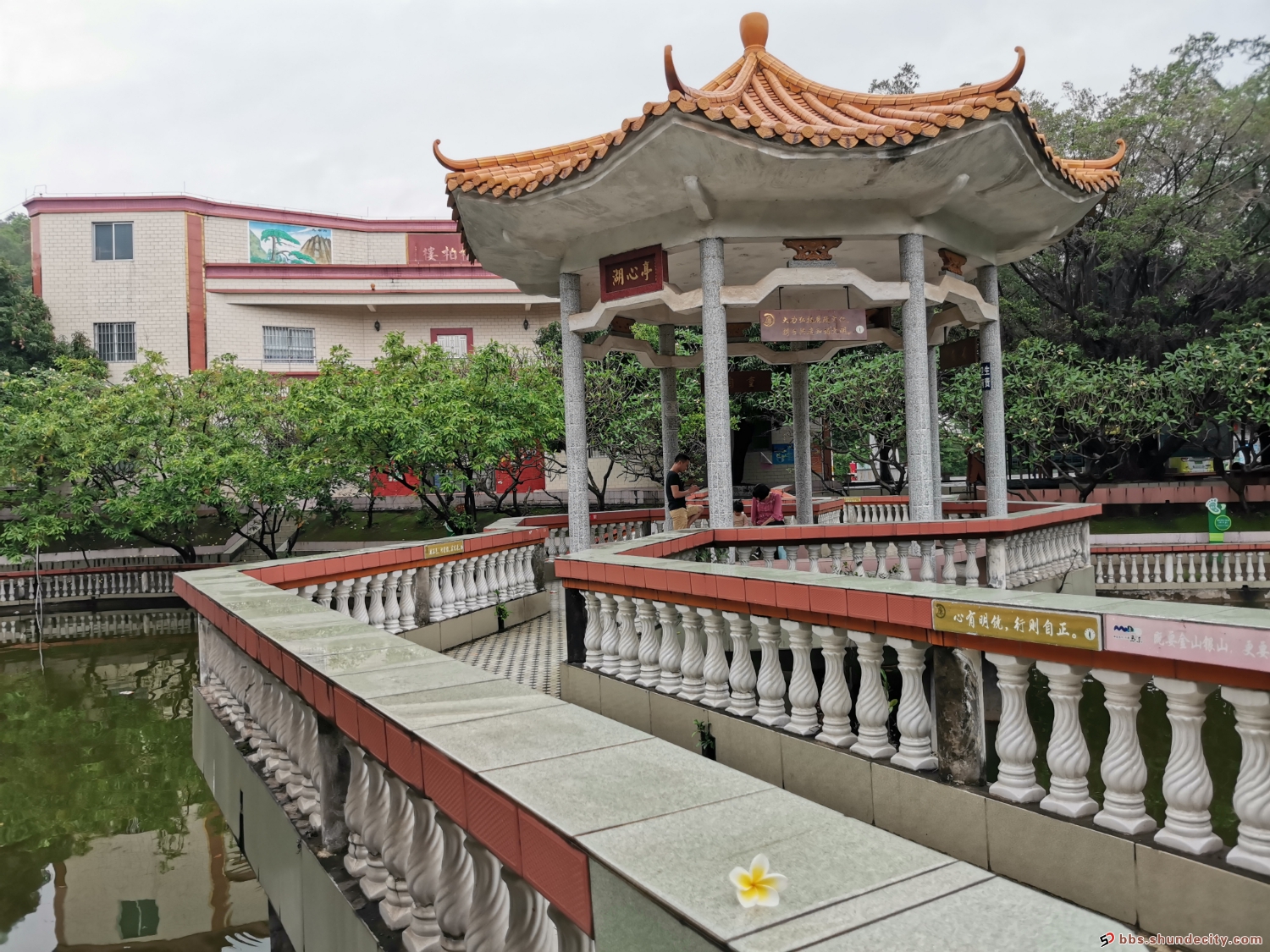 寧靜處，杏壇馬寧