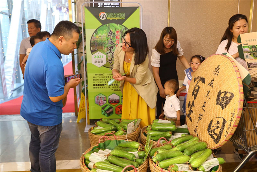 右眼新聞：黑毛節瓜背后的不舍與堅守