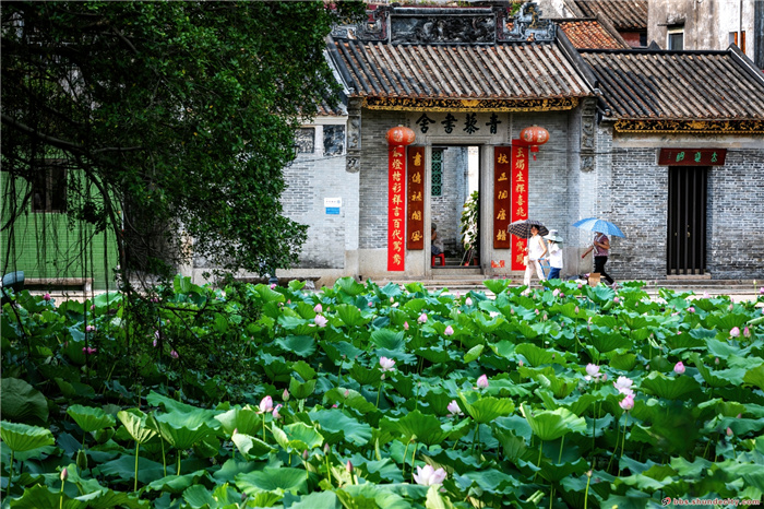 杏壇這個村子原來不是叫“村”，而是叫......