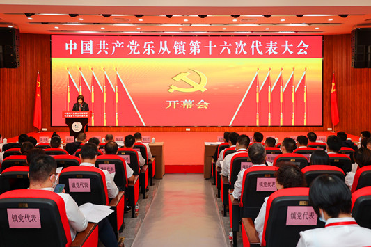 五年奮進：樂從敢為善為演繹精彩蛻變