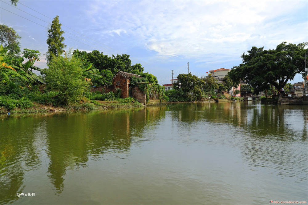 杏壇麥村麥北河涌河水清澈