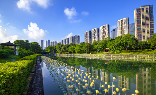 鎮(zhèn)街落實|樂從：釋放城心引領效應，激發(fā)產城融創(chuàng)活力