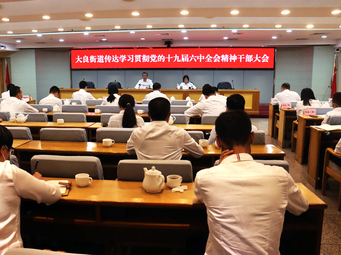 大良：再燃干事創業激情，書寫“南部都會中心”新篇章