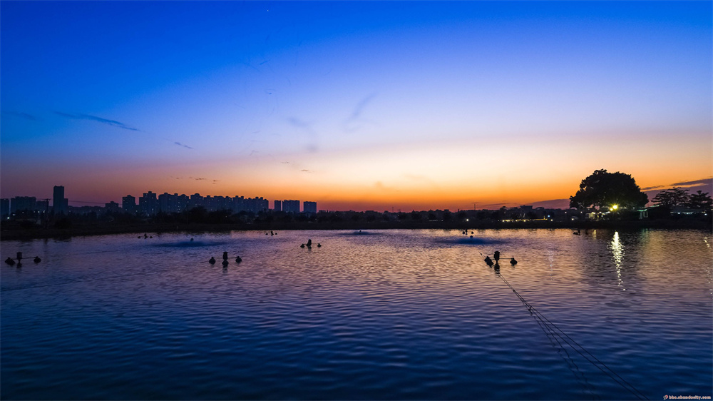 桑麻夜色