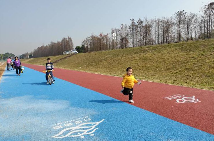 北滘市民“新寵”，觀景、親水漫步、騎行都不誤