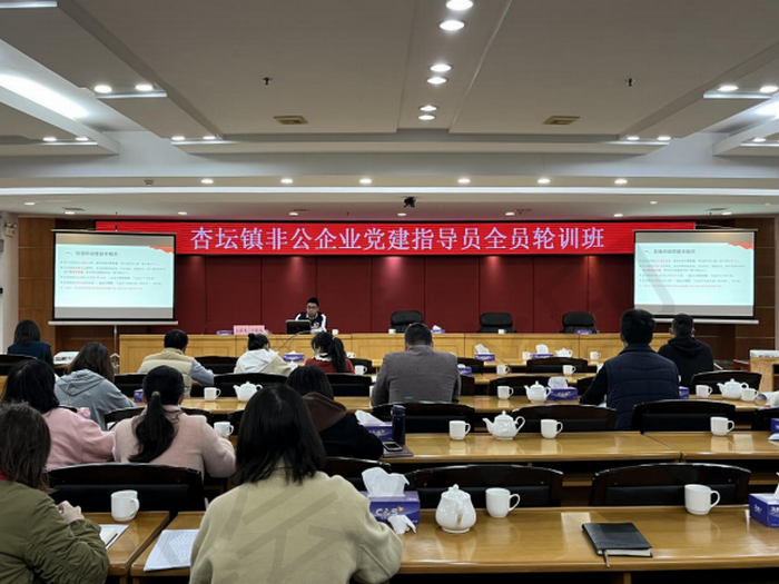 杏壇非公企業(yè)黨建指導(dǎo)員全員輪訓(xùn)班開班