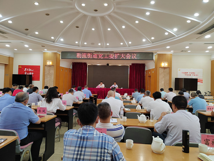 抓落實出實效，勒流學習宣傳貫徹省第十三次黨代會精神