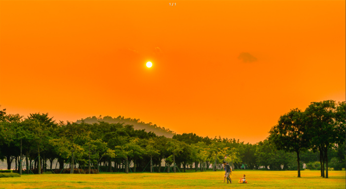 那風、那落葉、那夕陽……便是喜歡順德秋天的原因