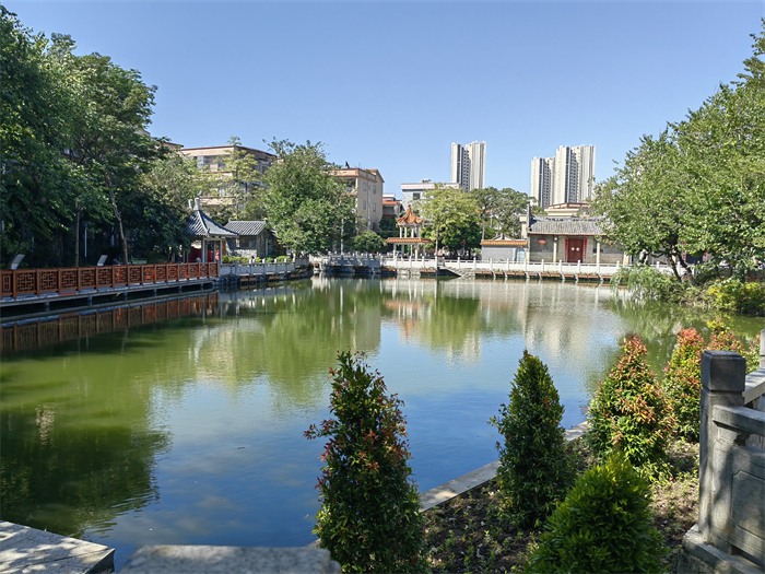 水清景美！北滘鎮黃龍金地涌及周邊環境大變身→