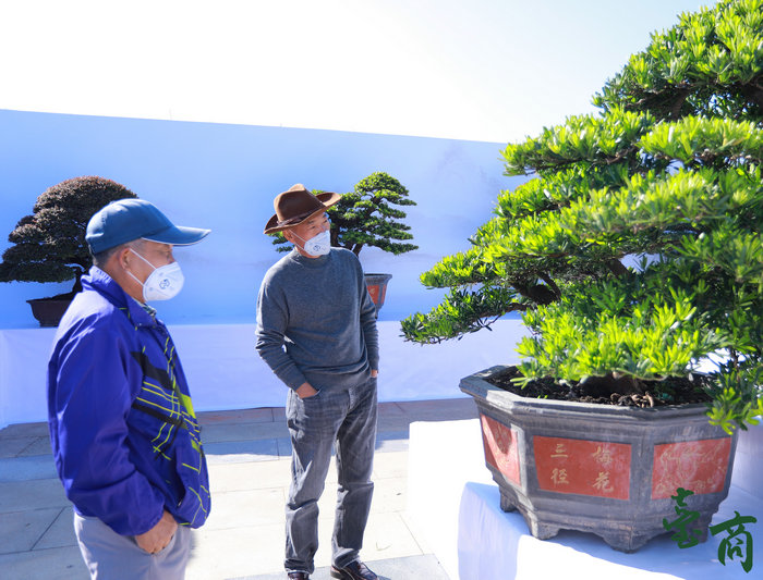 這個周末，到陳村花卉世界賞高端盆景、品臺灣小吃啦！