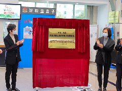 大良市場主體53946戶！制造業主體逆勢增長！
