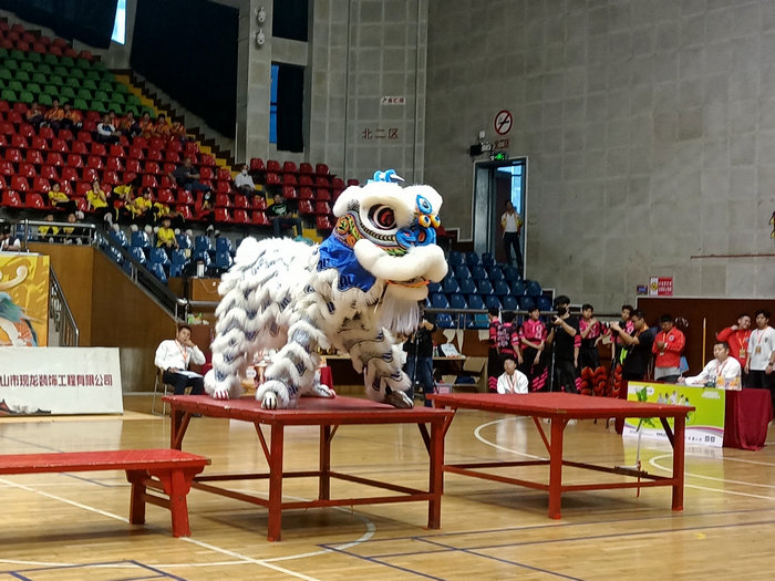 近800名龍獅精英齊聚容桂！首屆廣東省青少年龍獅錦標賽開賽