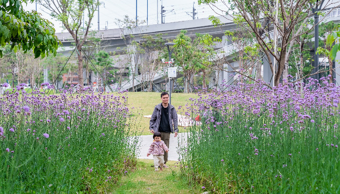 讓城市處處有公園，陳村更加“俏麗”了