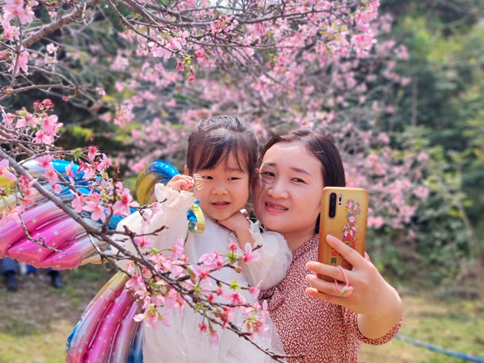 壹周美圖：春暖花開，踏青賞花好時節