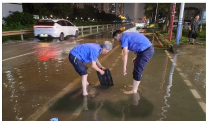 疏下水道、開排水渠！陳村全力解決“水浸街”問題
