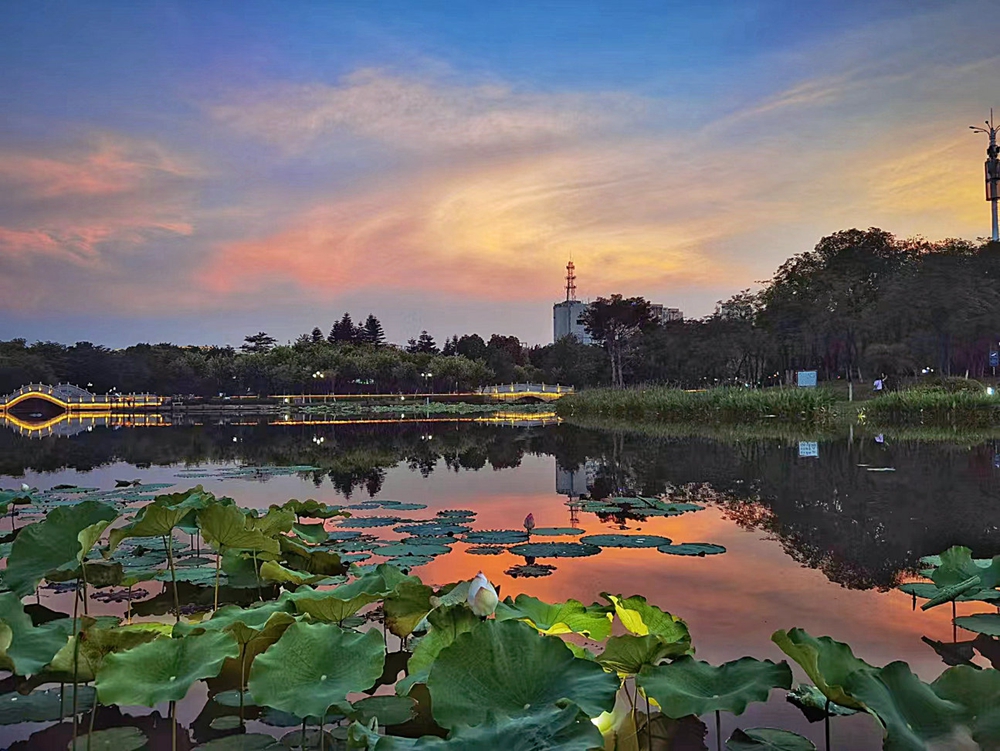 壹周美圖：夏日夕陽，湖光山色