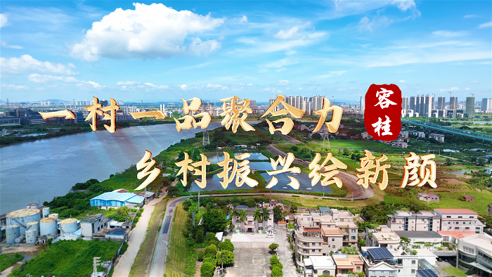 容桂：一村一品顯特色，黨建創新結碩果 | 鄉村振興篇