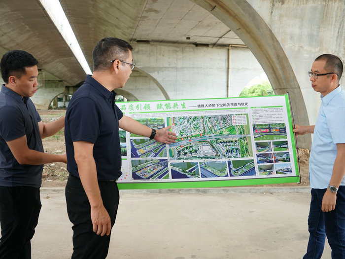 大良：人大代表建言，“一橋一策”激活橋下空間