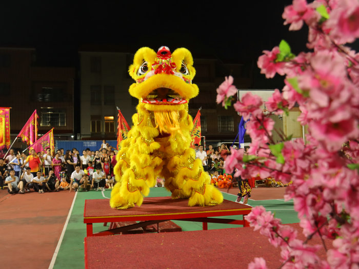 精彩！倫教市民運動會武術·醒獅表演賽精彩上演