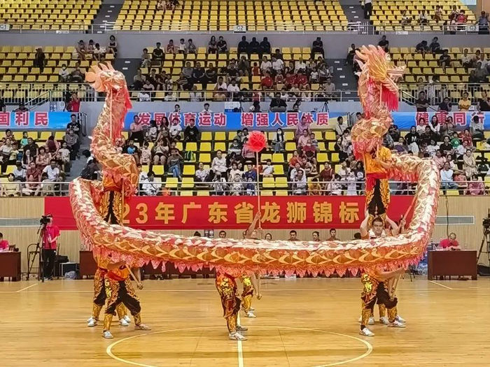 颯！龍江“非遺”龍舞奪得省龍獅錦標賽一等獎