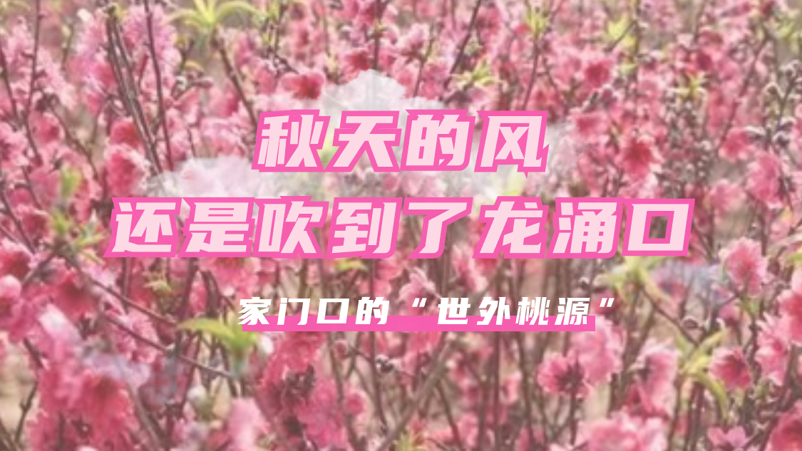 秋天的風，還是吹到了龍涌口