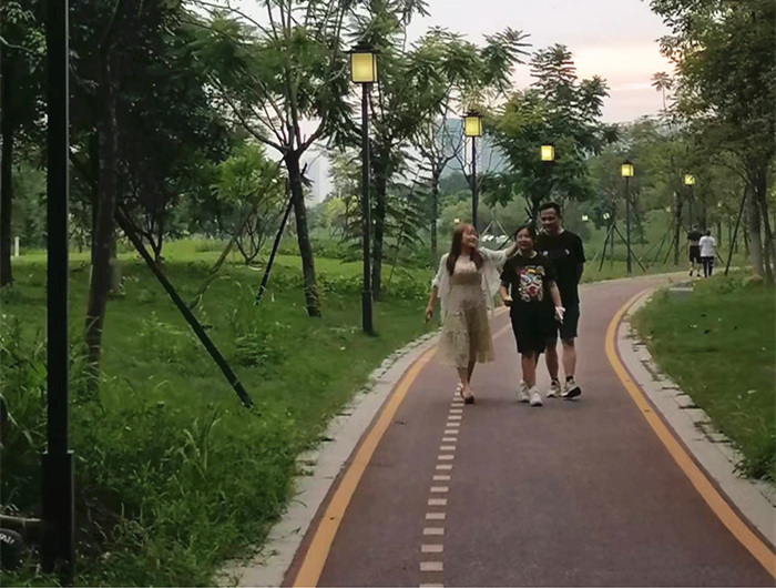 吳燕輝：點(diǎn)亮花園路燈，提靚城市品質(zhì)