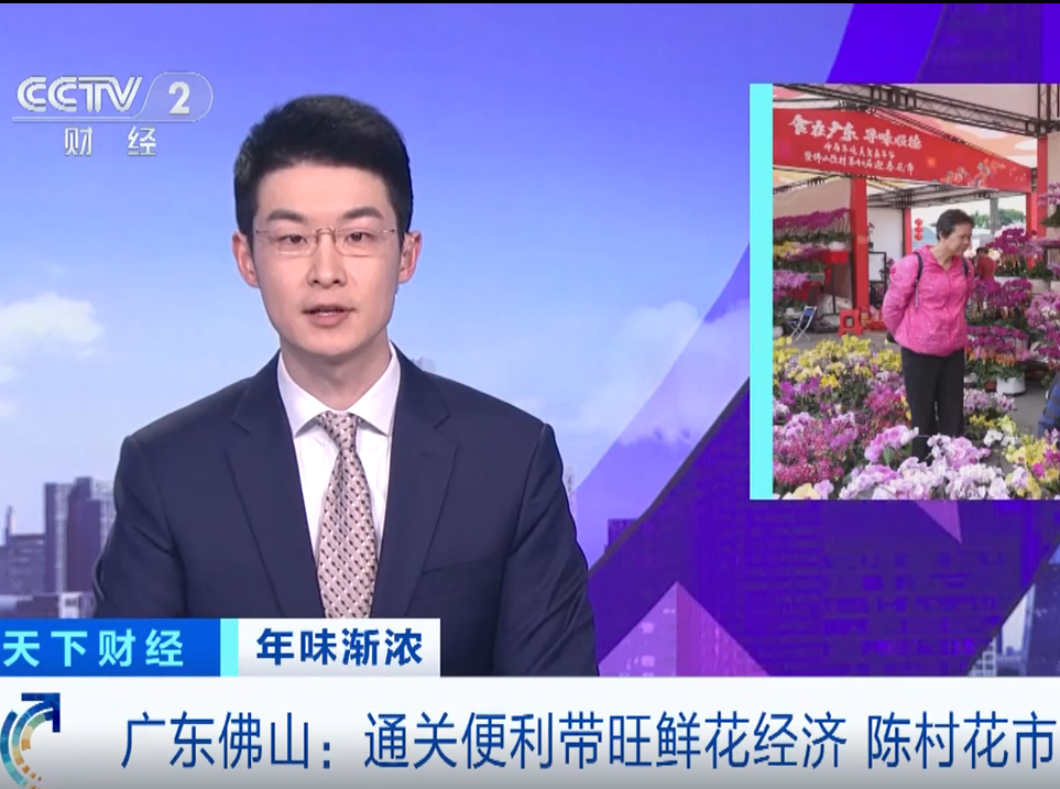 【視頻】央視關注：順德陳村花市迎港澳客