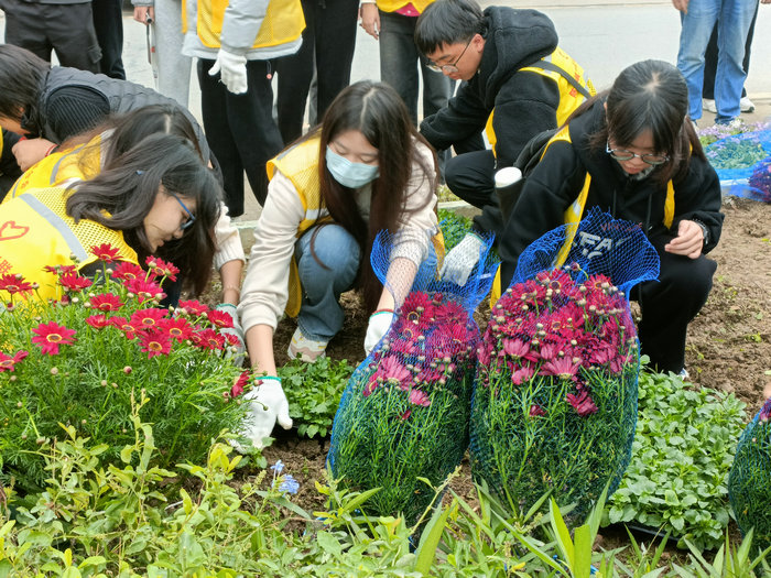 共繪綠美新圖景，陳村為“百千萬工程”注入青春活力