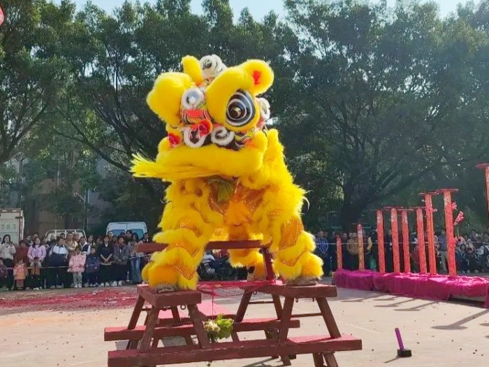 醒獅歡騰鬧新春！陳村年味十足