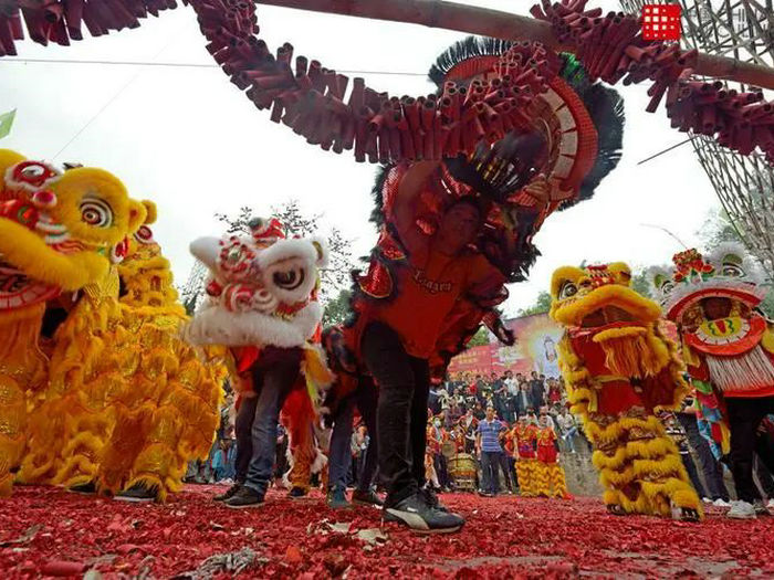 花炮登場！醒獅熱舞！正月十四鎖定沙富村！