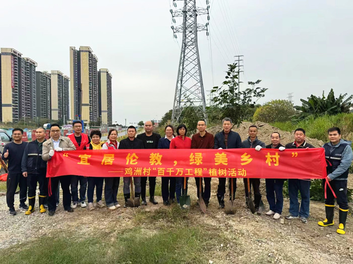 種下百棵黃花風(fēng)鈴木，為綠美倫教打call