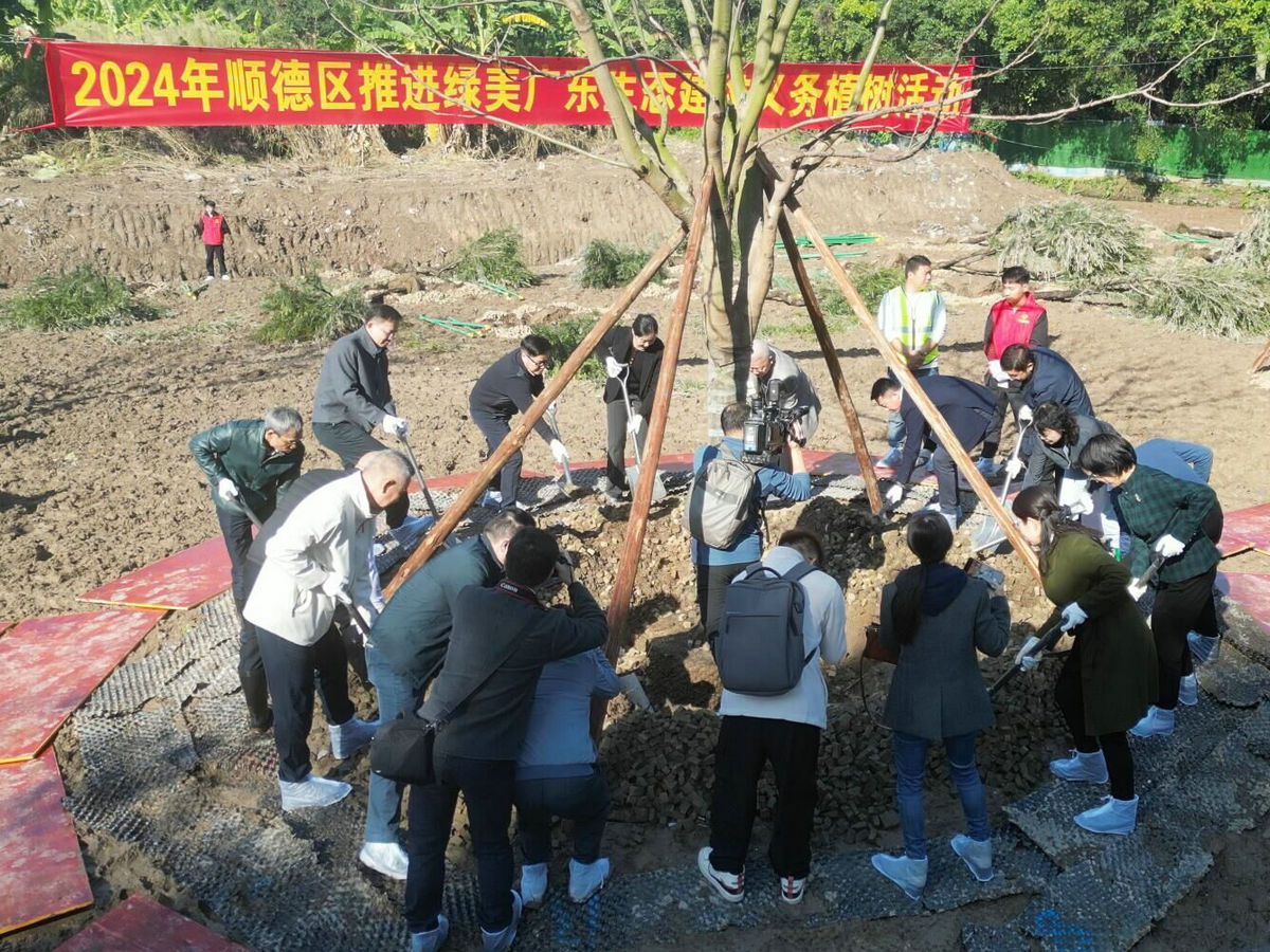 順德種下云鷺片開(kāi)發(fā)“第一棵樹(shù)”，鷺鳥(niǎo)天堂正式開(kāi)啟“擴(kuò)容之路”