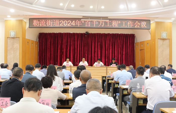以“頭號力度”推動“百千萬工程”！勒流這樣干