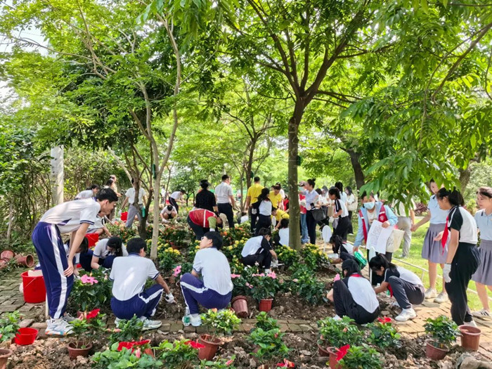勒流凝聚團員力量，共建青少年綠美小院
